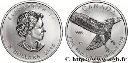 SILVER INVESTMENT 1 Oz - 5 Dollars Proof Rapace 2015 