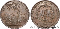 NEW ZEALAND Penny ou token Milner & Thompson 1881 Christchurch