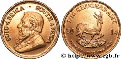 GOLD, PALLADIUM & PLATINUM INVESTMENT 1/10 Krugerrand 2014 Prétoria