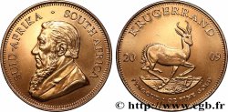 GOLD, PALLADIUM & PLATINUM INVESTMENT 1 Oz - 1 Krugerrand Paul Kruger 2009 Prétoria