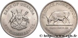 UGANDA 5 Shillings F.A.O. vache et veau 1968 Londres