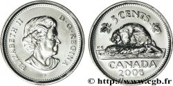 CANADá
 5 Cents  Elisabeth II (nouvelle effigie) / castor 2006 