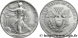 ÉTATS-UNIS D&nbsp;AMÉRIQUE 1 Dollar type Silver Eagle 1995 Philadelphie SUP 