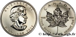 KANADA 5 Dollars (1 once) Proof feuille d’érable / Elisabeth II 2011 