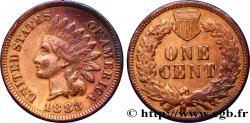 ÉTATS-UNIS D&nbsp;AMÉRIQUE 1 Cent tête d’indien, 3e type 1883 