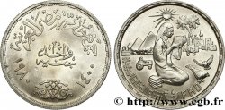 EGITTO 1 Pound (Livre) F.A.O. villageoise s’instruisant 1980 