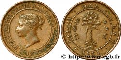 CEILáN 1 Cent Victoria 1901 