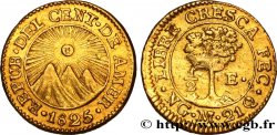 GUATEMALA - REPUBLIC OF CENTRAL AMERICA 1/2 Escudo 1825  Guatemala