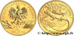 POLEN 2 Zlote le lézard vert d’Europe (Lacerta viridis) 2009 Varsovie