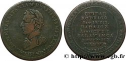 BRITISH TOKENS OR JETTONS 1/2 Penny Hull Wellington 1812 