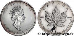 CANADá
 5 Dollars (1 once) feuille d’érable colorisée 2002 