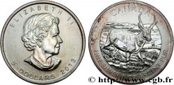 KANADA 5 Dollars (1 once) Proof Elisabeth II / Antilocapre 2013 