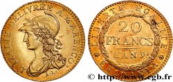 ITALIA - GALLIA SUBALPINA 20 francs Marengo 1801 Turin