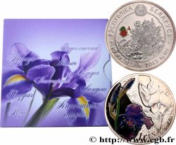 BIELORUSIA 1 Rouble Proof Iris 2013 Vilnius FDC 