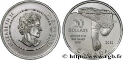 KANADA 20 Dollars Proof Ours Polaire 2012 Ottawa