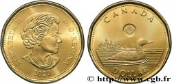 CANADA 1 Dollar Plongeon huard  2020 