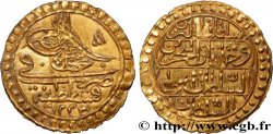 ÄGYPTEN 1/2 Zeri Mahbub Mahmud II AH 1223 (1835) 