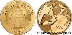 INVESTMENT GOLD 200 Yuan Proof Panda 2023 