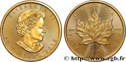 OR, PALLADIUM ET PLATINE INVESTISSEMENT 1 Oz - 50 Dollars  Maple Leaf  Elisabeth II 2016  SPL 