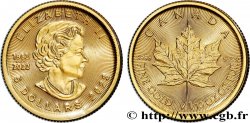INVESTMENT GOLD 1/10 Oz - 5 Dollars or  mapple leaf  2023 