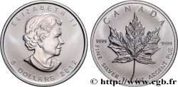 SILVER INVESTMENT 1 Oz - 5 Dollars Mapple Leaf  2012 