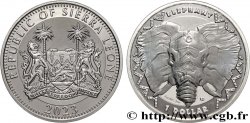 SILVER INVESTMENT 1 Oz - 1 Dollar Éléphant BIG5 2023 