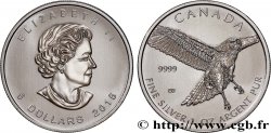 CANADá
 5 Dollars Proof Rapace 2015 