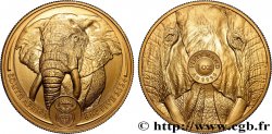 INVESTMENT GOLD 1 Oz - 50 Rand Éléphant 2024 Prétoria