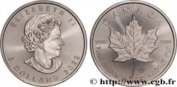 SILVER INVESTMENT 1 Oz - 5 Dollars Mapple Leaf (Feuille d’érable) 2022 