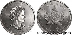 SILVER INVESTMENT 1 Oz - 5 Dollars Mapple Leaf  2020 