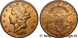 ORO, PALLADIO E PLATINO: INVESTIMENTI 20 Dollars  Liberty  1895 San Francisco