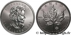 OR, PALLADIUM ET PLATINE INVESTISSEMENT 1 Oz - 50 Dollars platine  mapple leaf  2022 