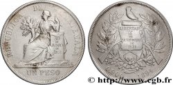 GUATEMALA 1 Peso 1894 Guatemala