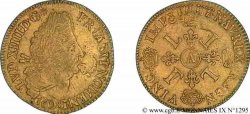 LOUIS XIV  THE SUN KING  Double louis d or aux quatre L 169[3 ?] Paris