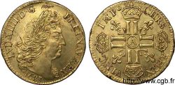 LOUIS XIV LE GRAND OU LE ROI SOLEIL Louis d’or aux huit L, portrait à la tête âgée et laurée 1683 Paris SPL