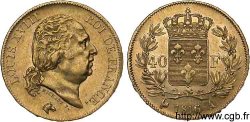 40 francs or Louis XVIII 1816 Paris F.542/1