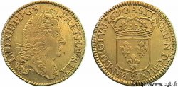 LOUIS XIV LE GRAND OU LE ROI SOLEIL Double louis d or à l écu à la tranche cordonnée 1690 Paris