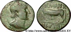 TREVIRI (Región de Treveri) Bronze GERMANVS INDVTILLI au taureau (Quadrans) BC+