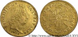 LOUIS XIV LE GRAND OU LE ROI SOLEIL Louis d’or aux huit L et aux insignes 1701  Paris