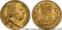 20 francs or Louis XVIII, tête nue 1818 Lille F.519/14 TTB 