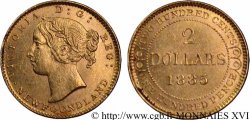 TERRE-NEUVE (NEW FOUNDLAND) - VICTORIA 2 dollars 1885  SUP 