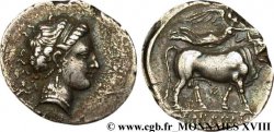 CAMPANIA - NEAPOLIS Nomos ou didrachme MBC