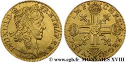 LOUIS XIII LE JUSTE Louis d&nbsp;or aux huit L (effigie de Jean Warin) 1641 Paris, Monnaie du Louvre