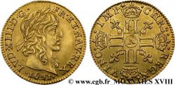 LOUIS XIII LE JUSTE Demi-louis d&nbsp;or aux huit L (effigie de Jean Warin) 1641 Paris, Monnaie du Louvre