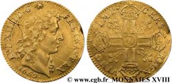 LOUIS XIV LE GRAND OU LE ROI SOLEIL Louis d or aux huit L, portrait à la tête nue 1669 Paris TB+
