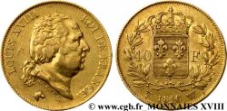 40 francs or Louis XVIII 1816 Lille F.542/5 TTB 
