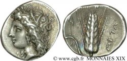 LUKANIEN - METAPONT Nomos, statère ou didrachme