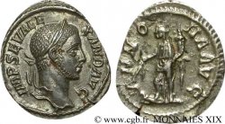 ALEXANDRE SÉVÈRE Denier SUP/TTB+