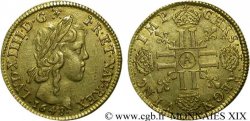 LOUIS XIV LE GRAND OU LE ROI SOLEIL Louis d’or aux huit L, portrait à la mèche longue 1648 Paris TTB/TTB+