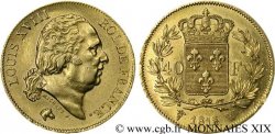 40 francs or Louis XVIII 1818 Lille F.542/8 TTB 